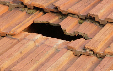 roof repair Langage, Devon
