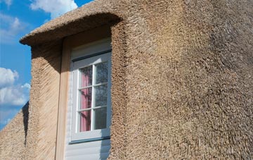 Langage thatch roof disadvantages