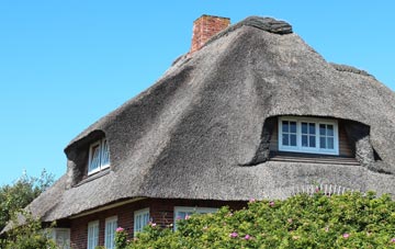 thatch roofing Langage, Devon